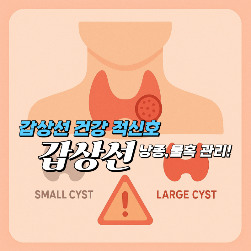 갑상선 낭종과 갑상선 물혹, 꼭 알아야 할 증상과 관리법