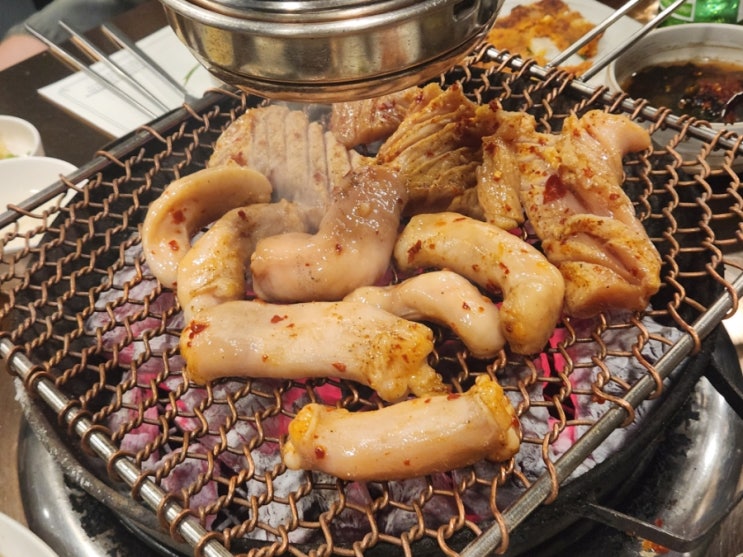  대구 두산동 황금역 들안길 양대창구이 맛집 충무로양곱창