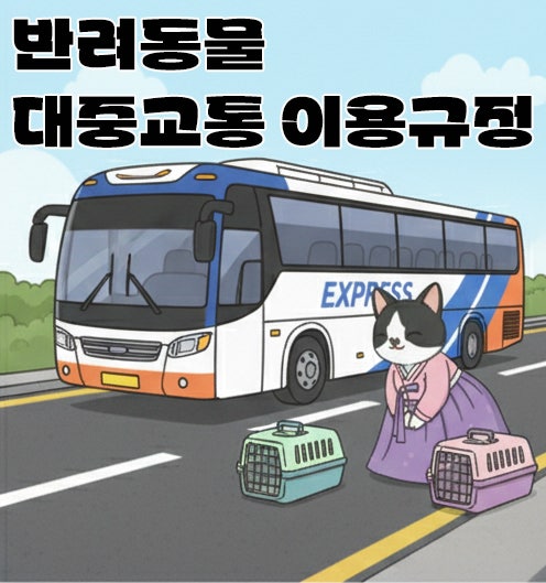  반려동물 대중교통 이용 비행기 고속버스 KTX 규정