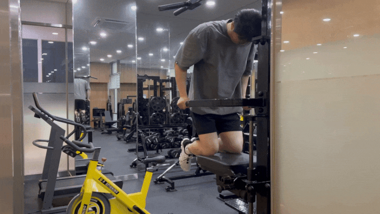  어시스트 딥스 머신 자세 무게 조절 방법 아래 가슴 밑가슴 삼두 어깨 근육 강화 운동 효과