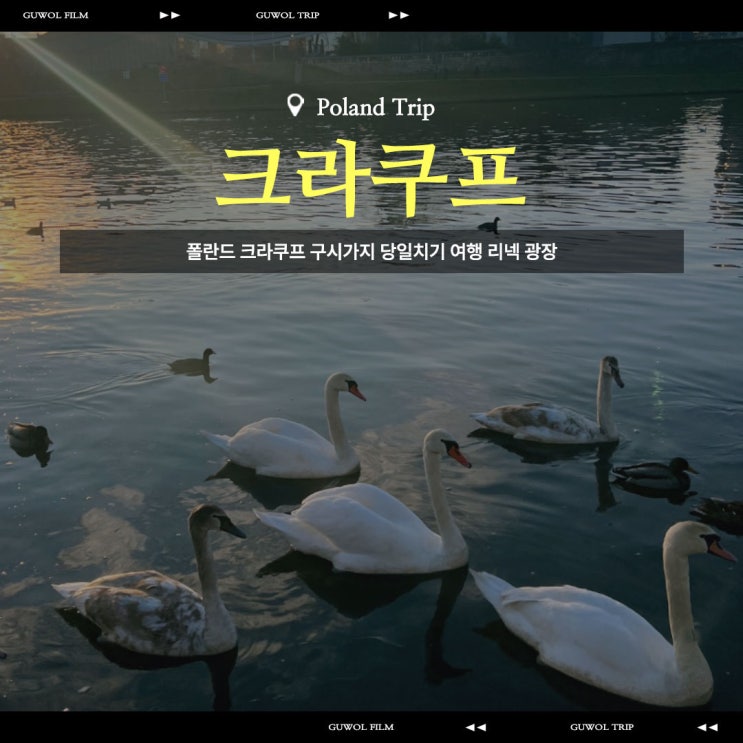  폴란드 크라쿠프 구시가지 당일치기 여행 리넥 광장