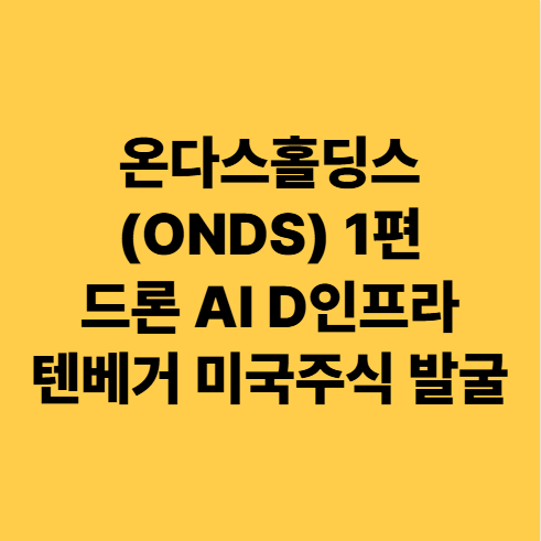  온다스홀딩스(ONDS) 1편 드론 AI D인프라 텐베거 미국주식 발굴