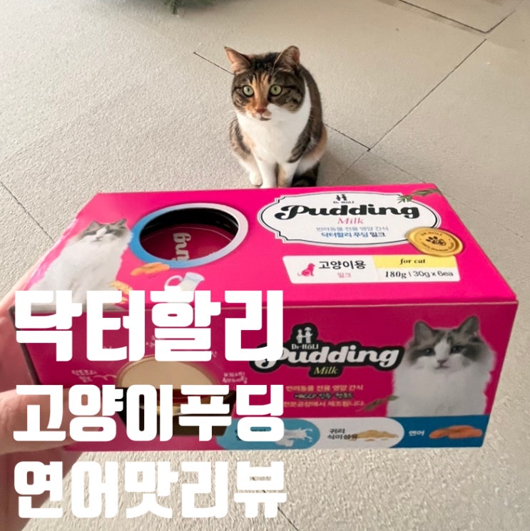  닥터할리 고양이푸딩 리뷰 – 우리집 고양이 영양식 체험기기