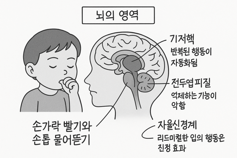 손톱 물어뜯는 아이, 손가락 빠는 아이