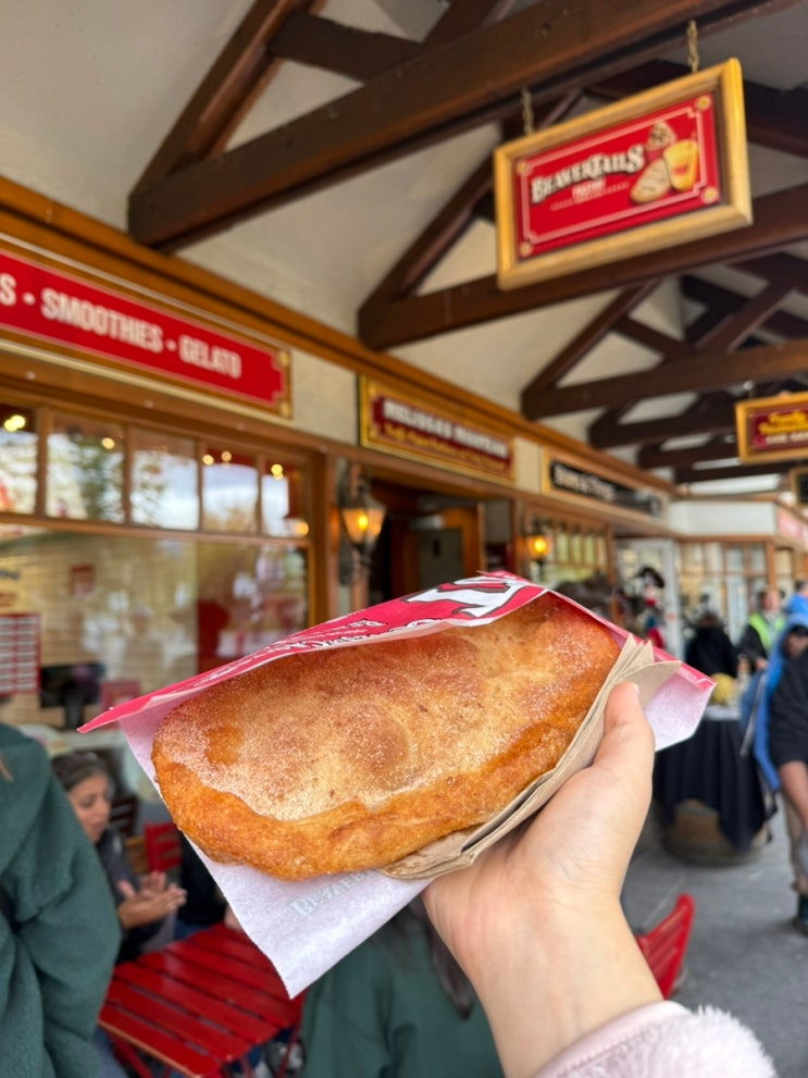  밴프 다운타운 맛집(비버테일즈, COWS BANFF, 마리스팝콘, 에볼루션)
