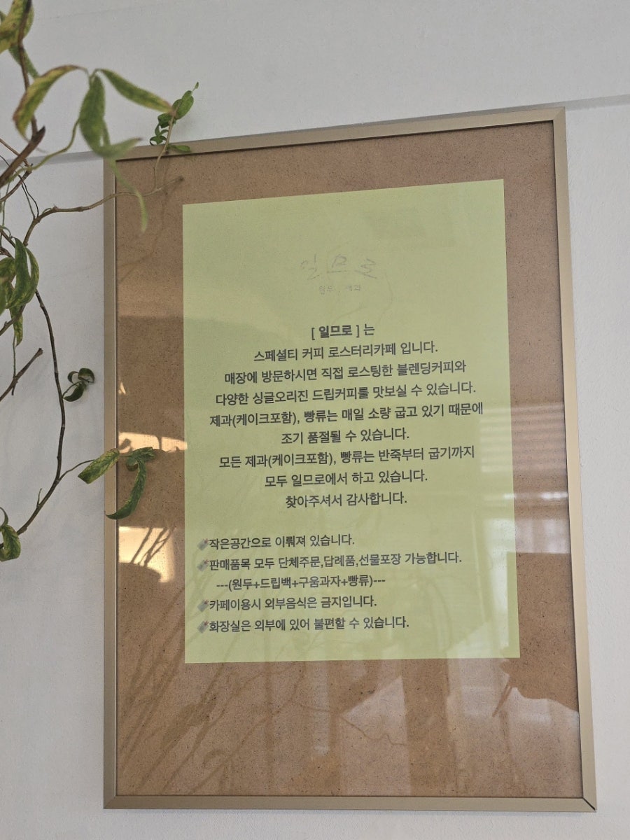 일므로 사진 4