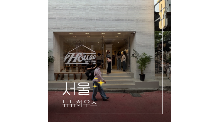  홍대 소품샵 뉴뉴하우스 갓성비 아이템 가득 서울 핫플레이스
