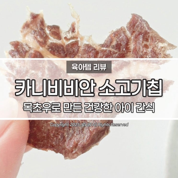  아이 간식 고민 끝! 유아 간식 끝판왕 카니비비안 소고기칩 후기