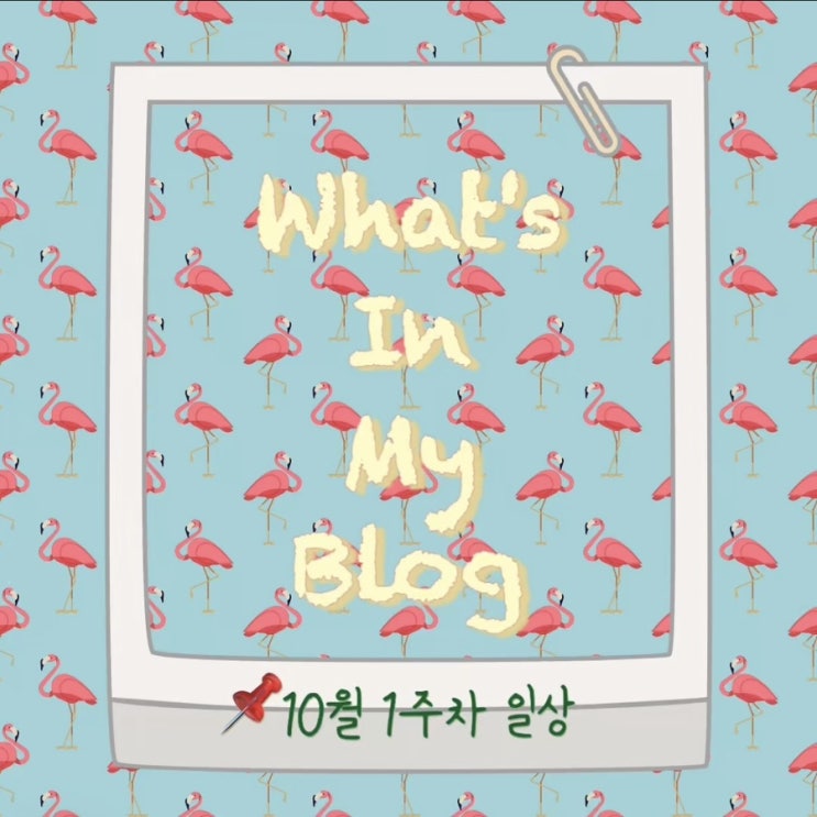  10월 1주 차 일상 정리 왓츠인마이블로그 블챌