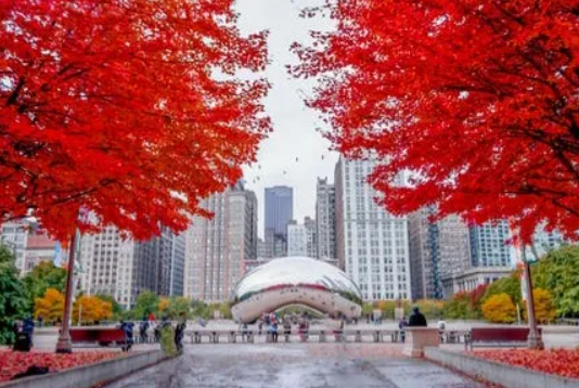  [Chicago] 시카고 10월 날씨 옷차림 이벤트 행사