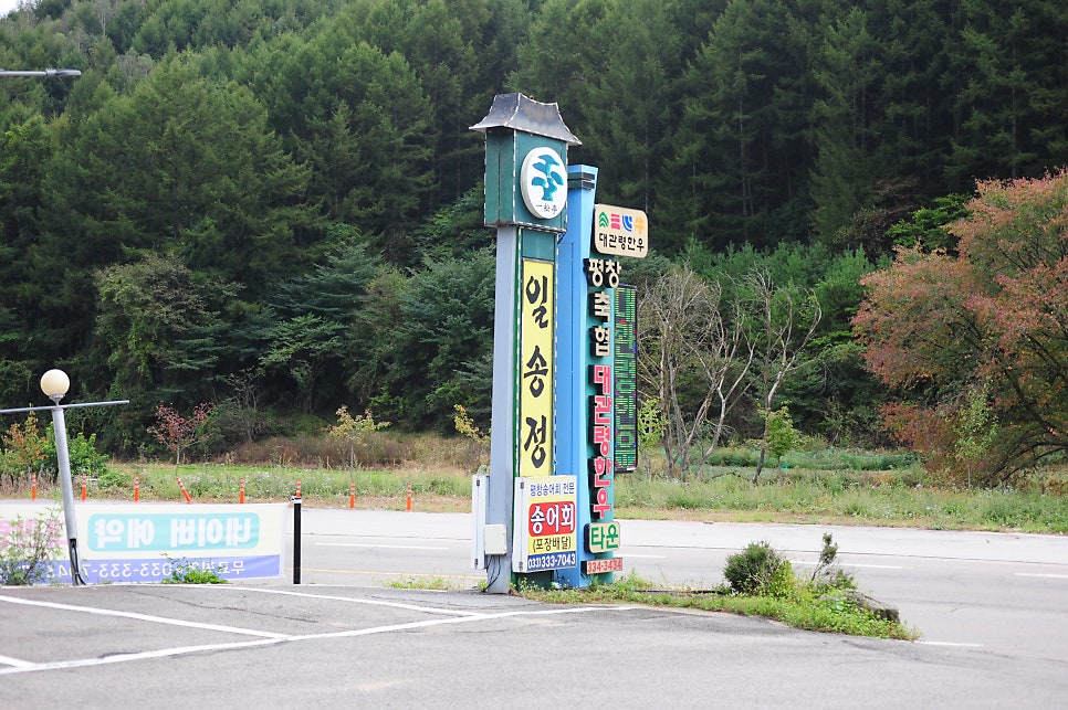 대관령한우타운 면온점 사진 2