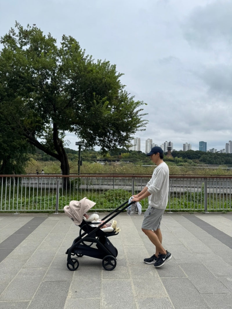 부가부 드래곤플라이 절충형유아차 신세계백화점 사우스시티 구매(마를로뜨 통통라이너 조....