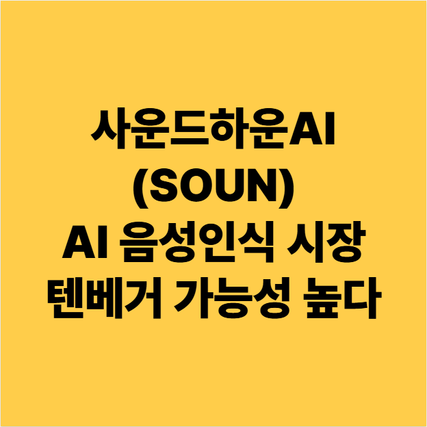  사운드하운드AI(SOUN) 음성인식 시장 높은 매출성장률 텐베거 미국주식 후보