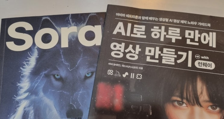  [엮어읽기] 최고의 AI 영상 Sora로 제작하기, AI로 하루 만에 영상 만들기[1059번째 리뷰]