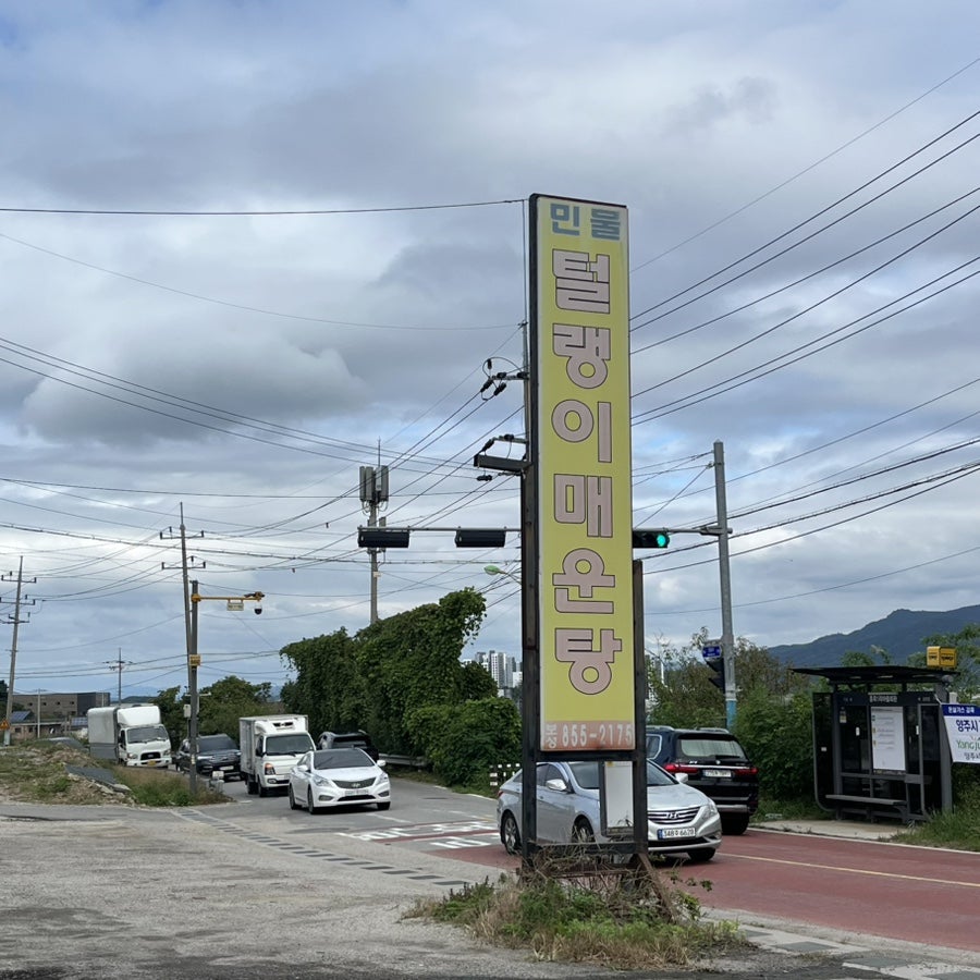 민물털랭이매운탕 사진 1