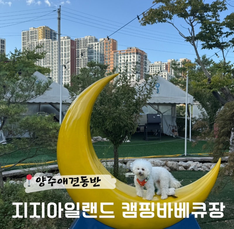 사진 3