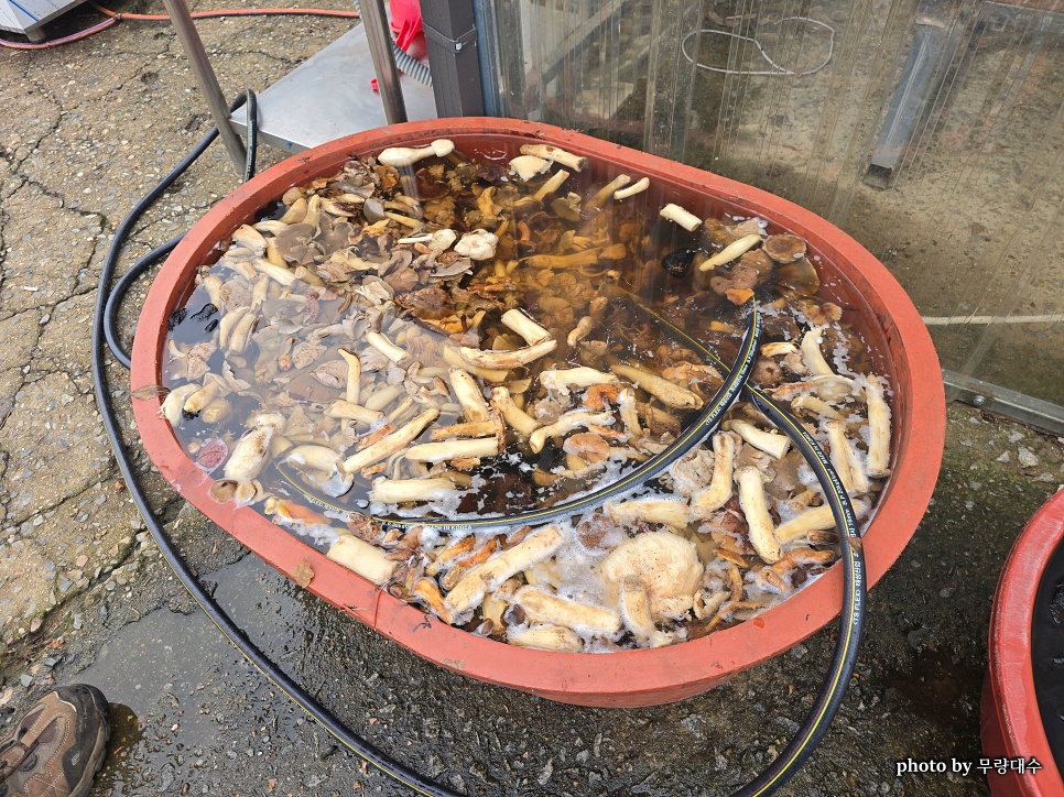 추풍령맛고을 사진 2