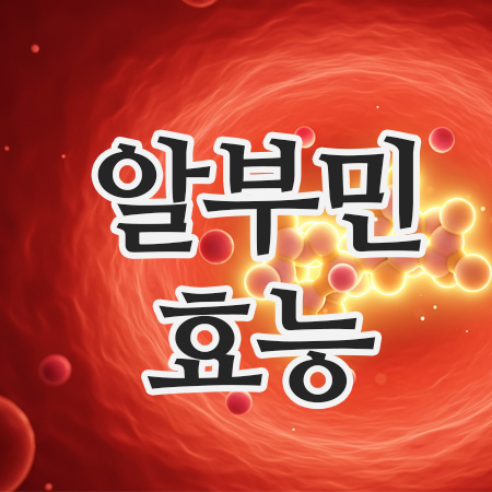  알부민의 효능과 수치! 꼭 알아야 할 건강 지식