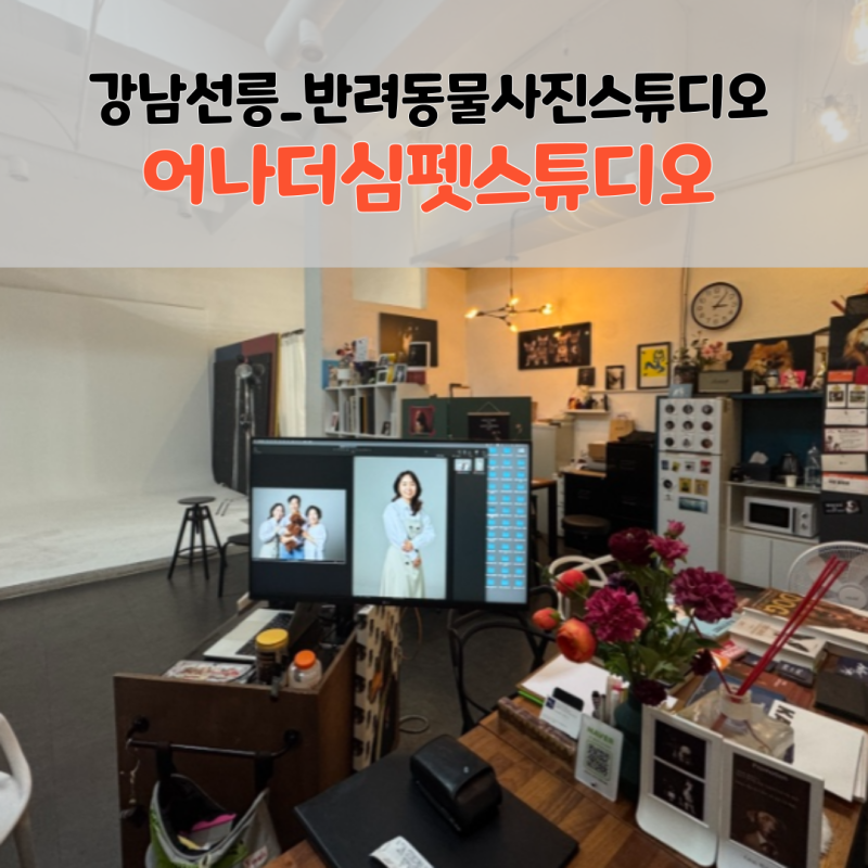 사진 4