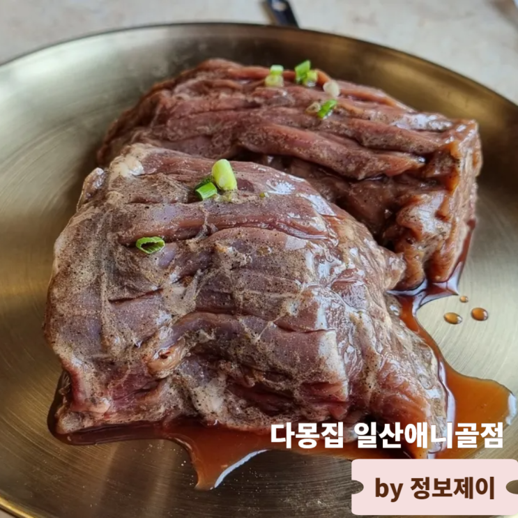  일산애니골 맛집 풍산역 고기집 다몽집