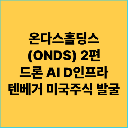  온다스홀딩스(ONDS) 2편 텐베거 미국주식 발굴