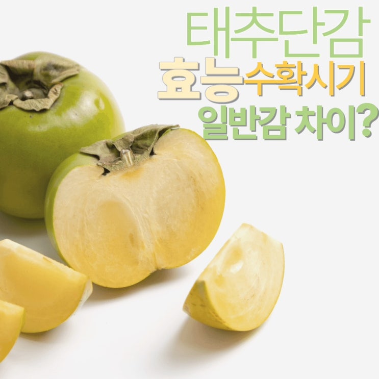  태추감 태추단감 수확시기 효능