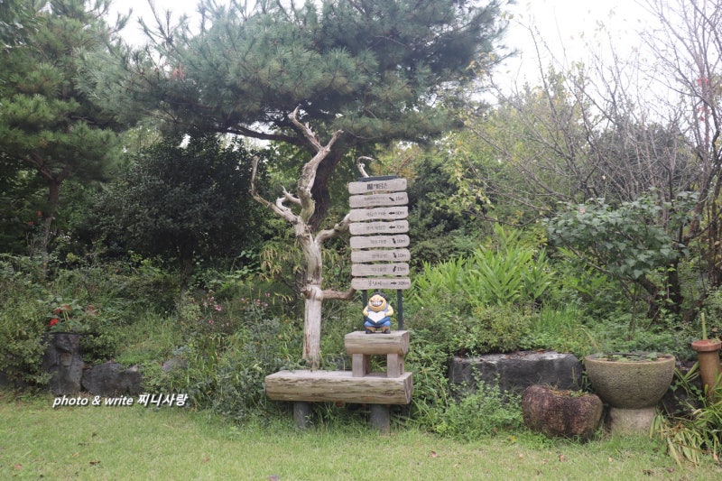 사진 5