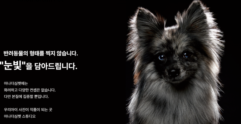 사진 5