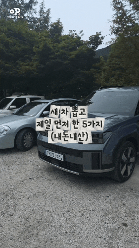  싼타페 MX5 하이브리드 신차 내돈내산 필수템 5가지 추천 | 5 Must-Have Items for New Santa Fe MX5 Hybrid (Not Sponsored)