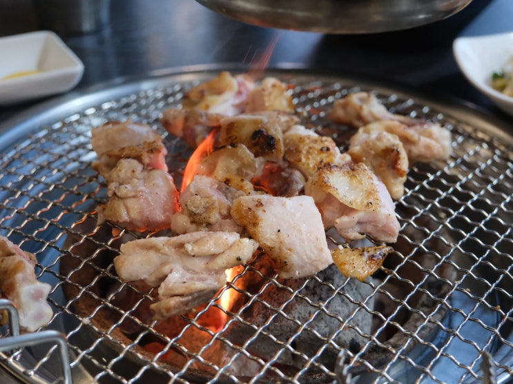  제주도민맛집 노형동 숯불닭갈비 — 명작숯불닭갈비 방문기