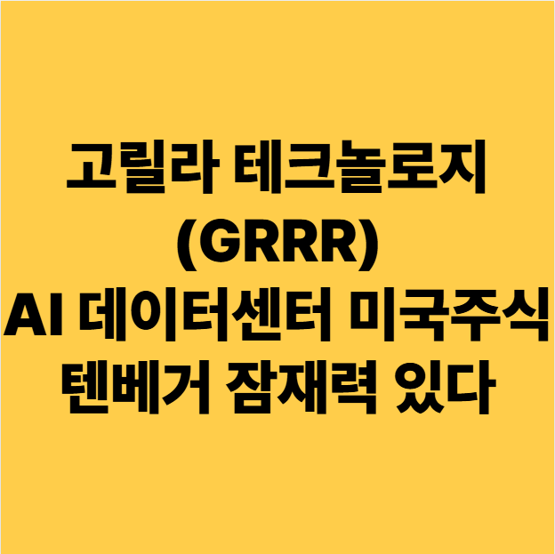  고릴라 테크놀로지(GRRR) AI 데이터센터 미국주식 텐베거 잠재력 있다
