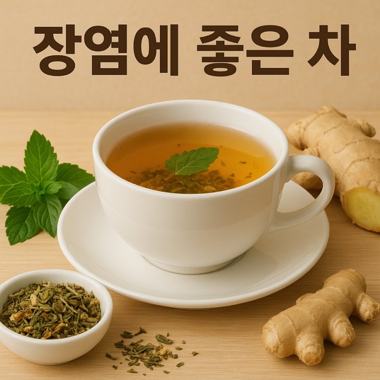  장염에 좋은 차와 회복 TIP
