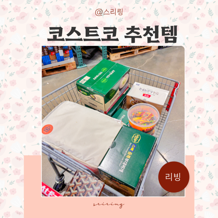  코스트코 추천템 10월 둘째주 할인상품 정리 음식 세일 커클랜드 올리브오일