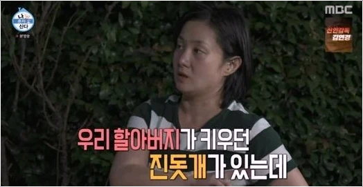  박나래 시골 진돗개 서울 입양! 감동적인 반려 라이프 시작