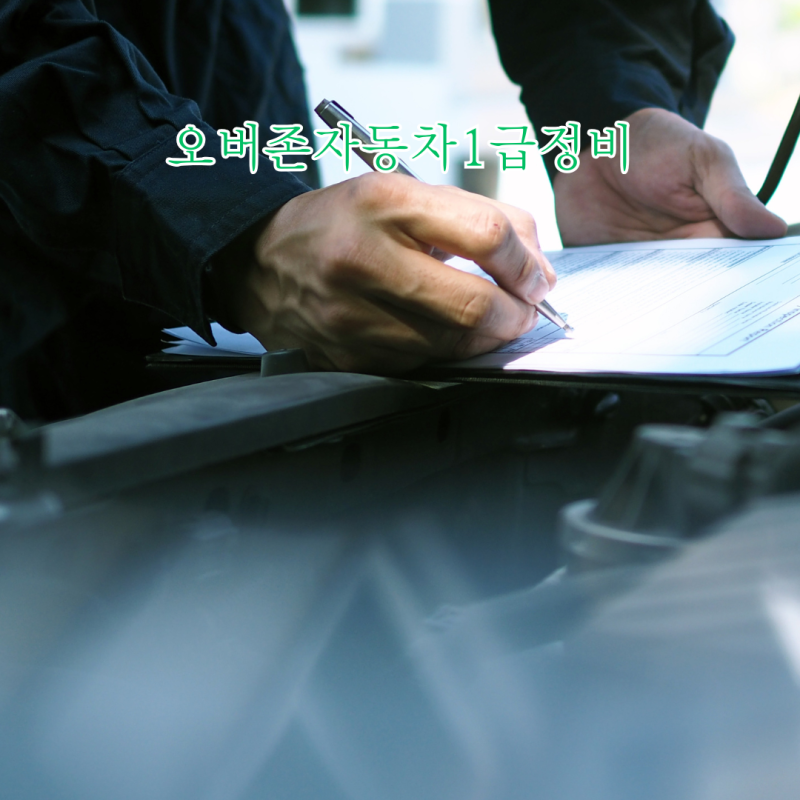 시흥시 자동차 검사소 예약 없이도 빠른 오버존자동차1급정비