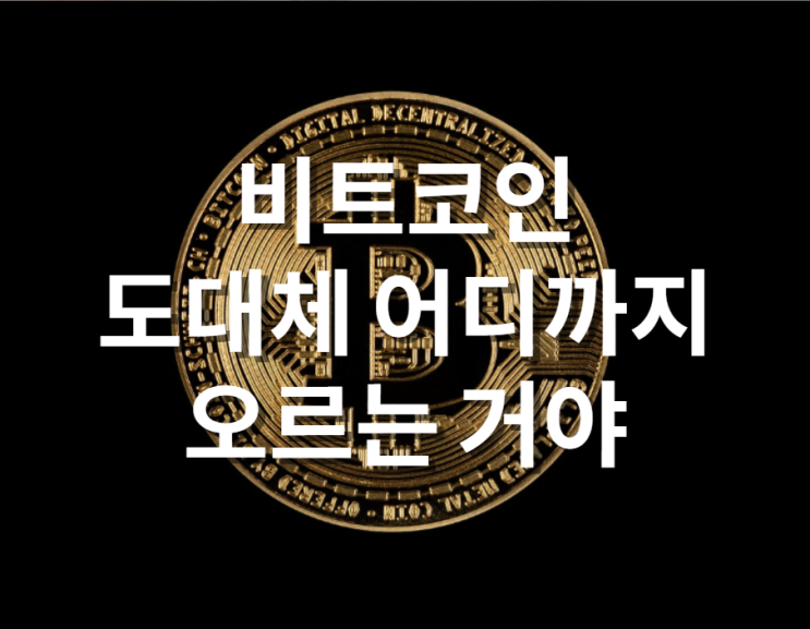  비트코인, 어디까지 가는 거야