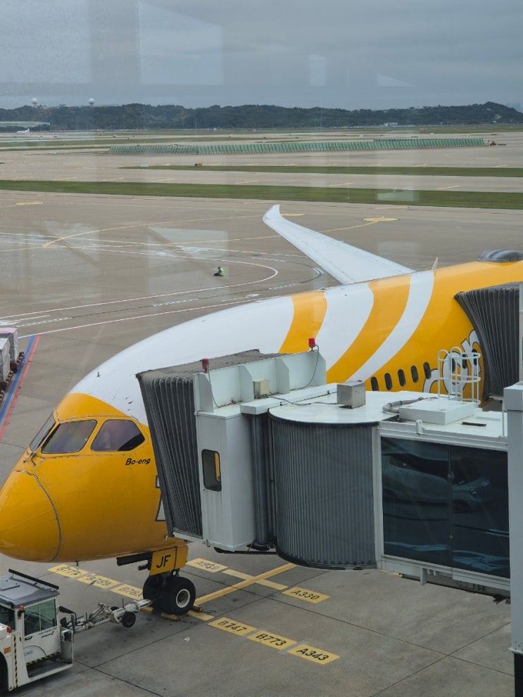  Scoot 스쿠트 항공 인천 싱가포르 TR853 TR852 탑승지연, 체크인 후기
