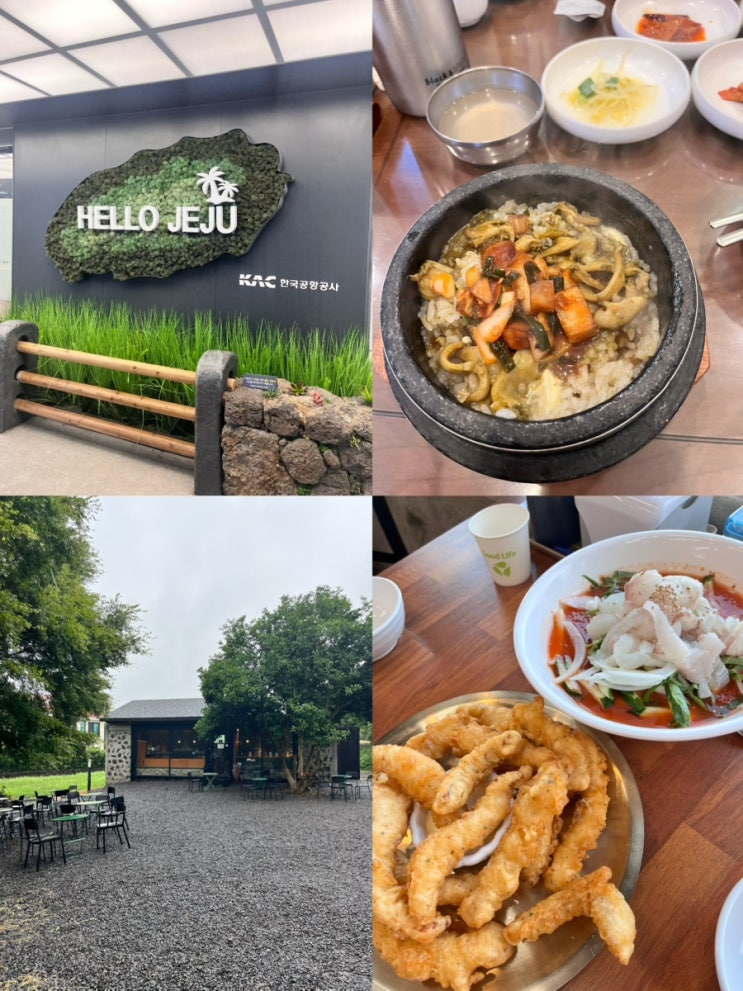  [제주도 2박3일 여행_1일차] 그옛맛/커피템플/아침미소목장/제주동화마을/비자림/표선해수욕장/광어다표선/해비치호텔
