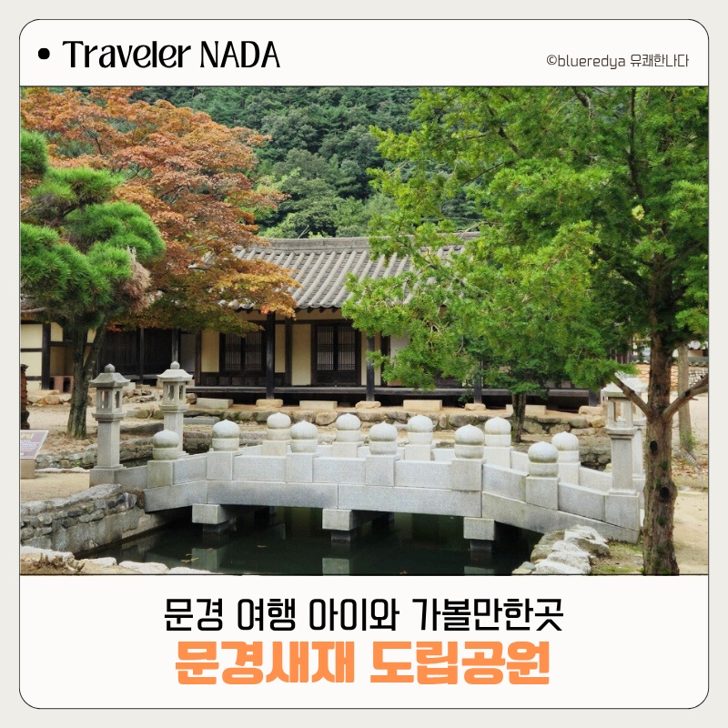 사진 6