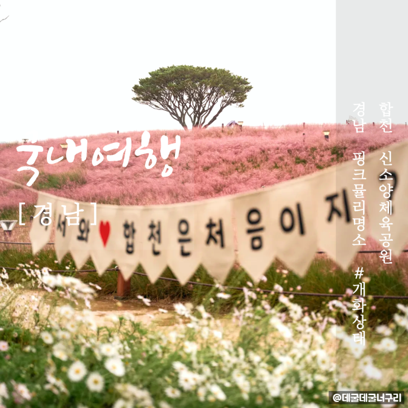 사진 8