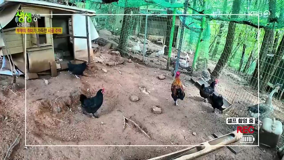 안골 사진 4