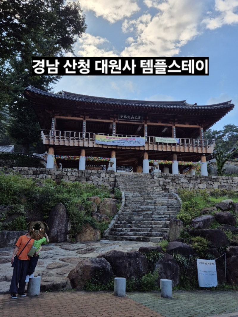 7세 아이와 힐링 타임_경남 산청 대원사 템플스테이