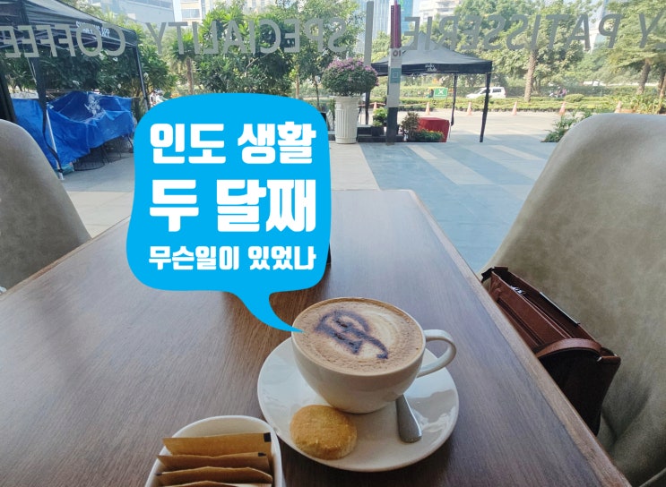  서리담아 이야기. 인도 구르가온 생활 2개월 차, 바쁜 백수가 되다.