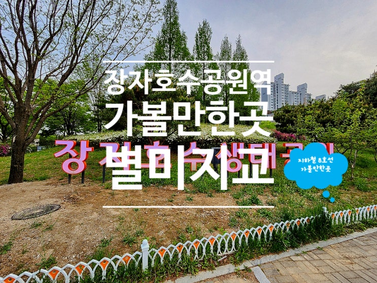  구리 가볼만한곳 장자호수공원 주말 나들이 별미지교