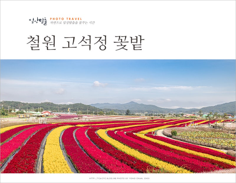 사진 7