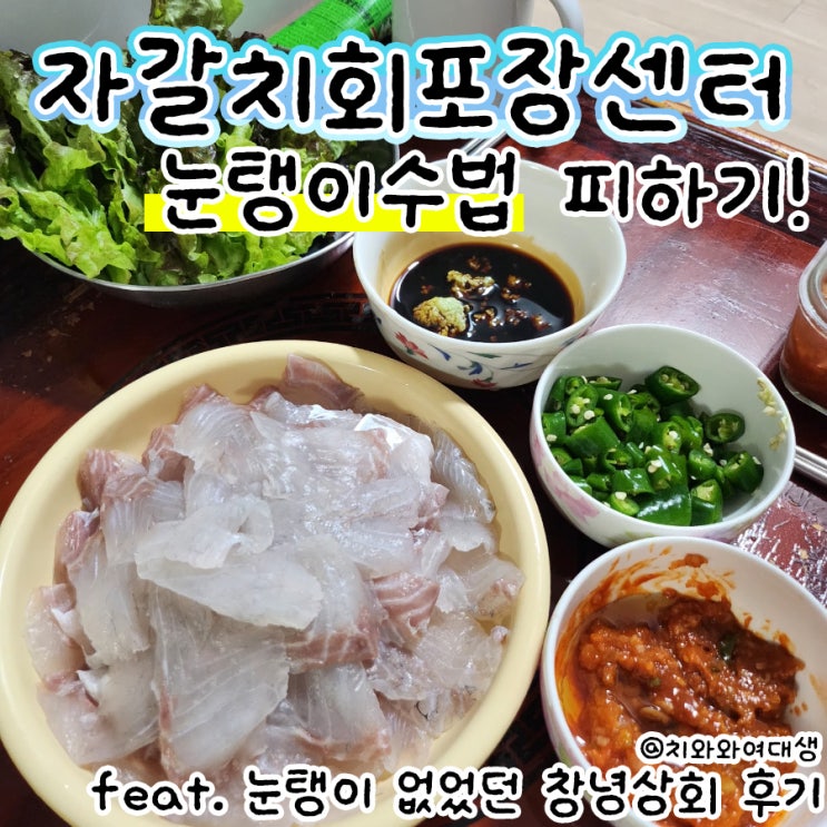  부산회포장시장 창녕상회 자갈치회센터맛집 눈탱이 안당하는 법