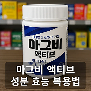 마그비 액티브 가격 성분 효과 복용법