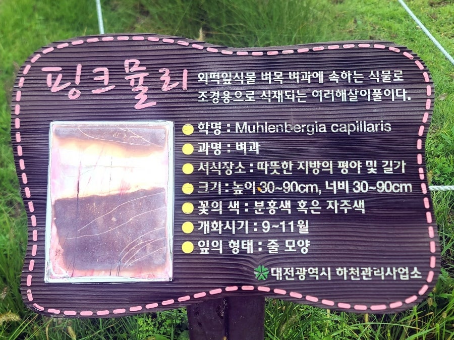 심통골 사진 5