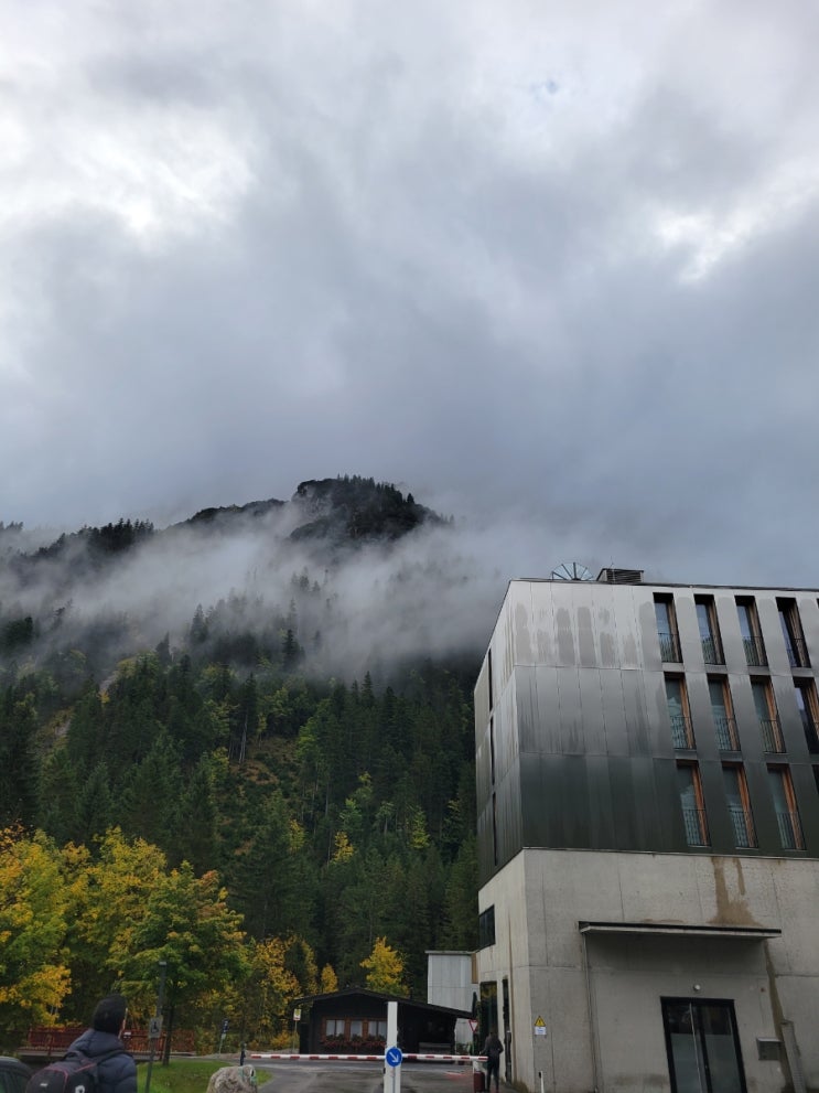  BMW 알펜호텔 아머발트 BMW Alpenhotel Ammerwald