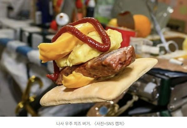  “이게 스시 맞아?” NASA ‘우주 스시’ 공개에 네티즌 혹평 폭발ㅋㅋ “3점짜리 실패작”